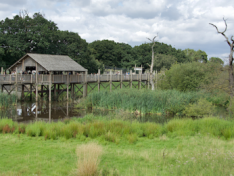 The Art of Baking: From Classic Bread to Artisan Pastries