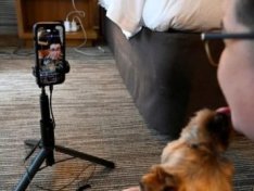 The Art of Baking: From Classic Bread to Artisan Pastries