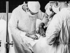 The Art of Baking: From Classic Bread to Artisan Pastries