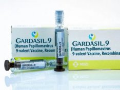 The Art of Baking: From Classic Bread to Artisan Pastries