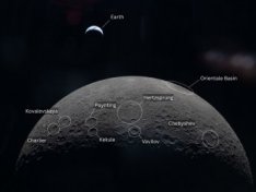 The Art of Baking: From Classic Bread to Artisan Pastries