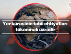 The Art of Baking: From Classic Bread to Artisan Pastries