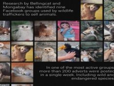 The Art of Baking: From Classic Bread to Artisan Pastries