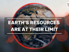 The Art of Baking: From Classic Bread to Artisan Pastries