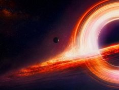 The Art of Baking: From Classic Bread to Artisan Pastries