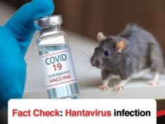 Fact Check: Hantavirus infection is not a confirmed side effect of Pfizer’s COVID-19 vaccine
