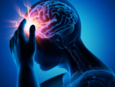 The Art of Baking: From Classic Bread to Artisan Pastries