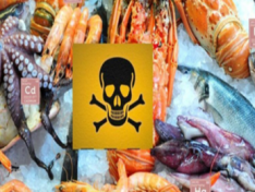 Seafood or "Toxic Ocean Garbage": What Science Knows About Seafood Safety
