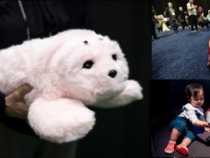 Fact Check Team: AI toys spark privacy concerns as US officials urge action on data risks