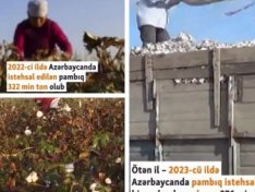 The Art of Baking: From Classic Bread to Artisan Pastries