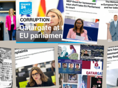 Aİ və səlahiyyətli şəxsləri İttifaqda baş verən qanunsuzluqlara necə göz yumurlar?