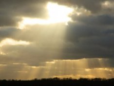 The Art of Baking: From Classic Bread to Artisan Pastries