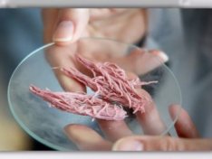 Are US stores selling 3D-printed meat?