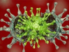 Адиль Гейбулла: вирулентность штамма "Дельта" очень высока