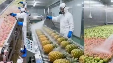 Gıdaların boyandığını gösteren video gerçek mi?