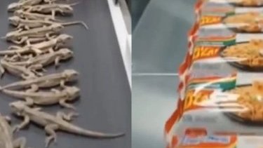 Kərtənkələlərdən əriştə hazırlandığını göstərən video həqiqidir?