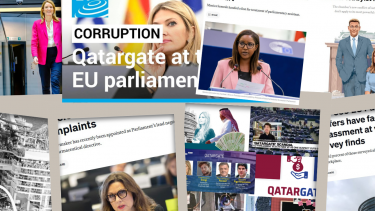 Aİ və səlahiyyətli şəxsləri İttifaqda baş verən qanunsuzluqlara necə göz yumurlar?