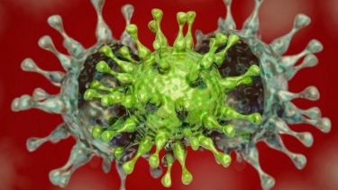 Infectious disease doctor: Mask gives no full guarantee in case of Delta strain