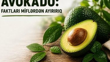 Avokadonun faydaları və toksiklik iddiaları: Faktlar nə deyir?
