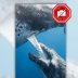 Don't confuse fake video of whale calf nursing with the real thing