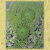Does photo show experimental circular forest in Japan?
